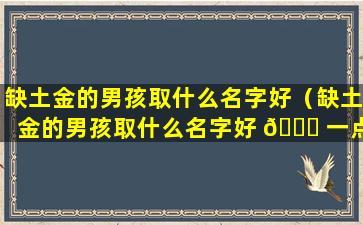 缺土金的男孩取什么名字好（缺土金的男孩取什么名字好 🐕 一点）